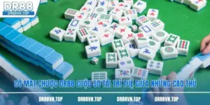 Cờ Mạt Chược DR88