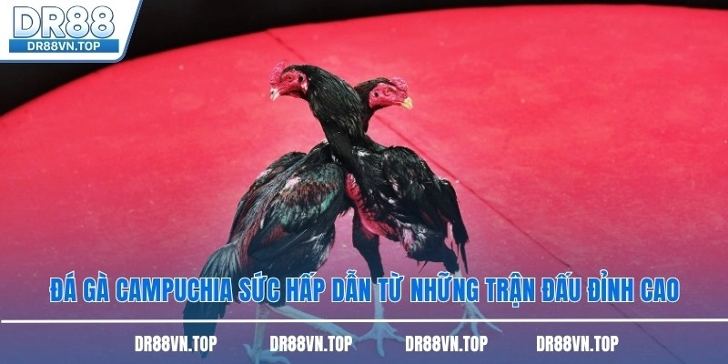 da-ga-campuchia