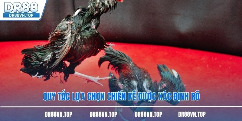 Quy tắc lựa chọn chiến kê được xác định rõ