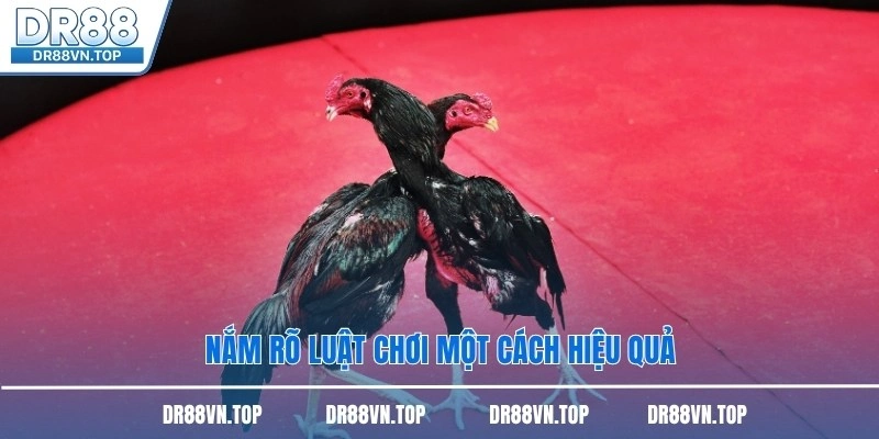 Nắm rõ luật chơi một cách hiệu quả