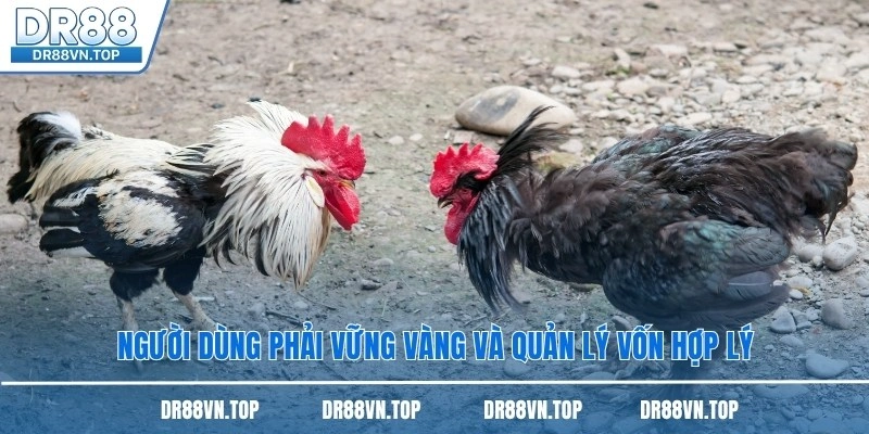 Người dùng phải vững vàng và quản lý vốn hợp lý