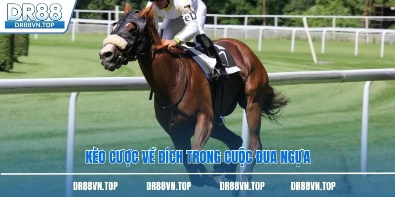 Kèo cược về đích trong cuộc đua ngựa