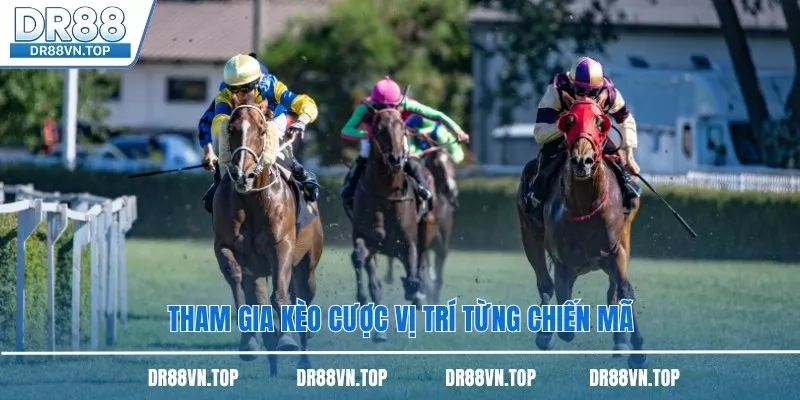 Tham gia kèo cược vị trí từng chiến mã