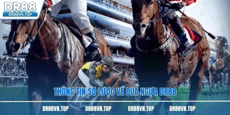 Thông tin sơ lược về đua ngựa DR88