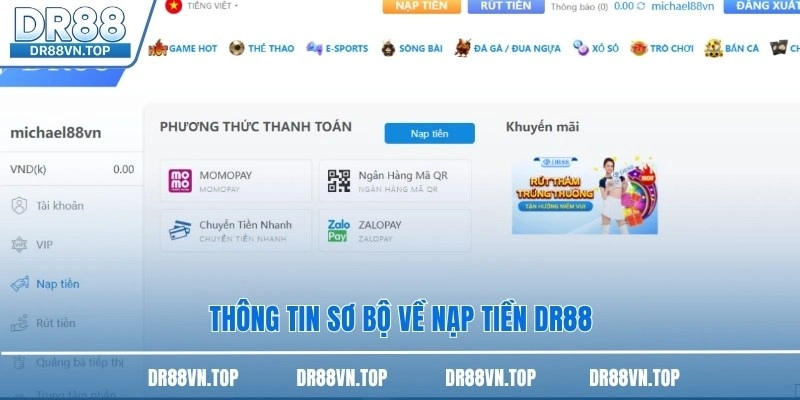 Thông tin sơ bộ về nạp tiền DR88