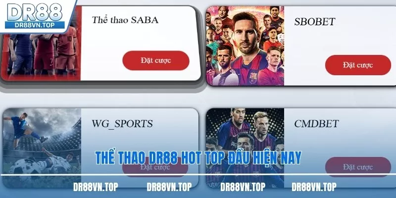 Thể thao DR88 hot top đầu hiện nay